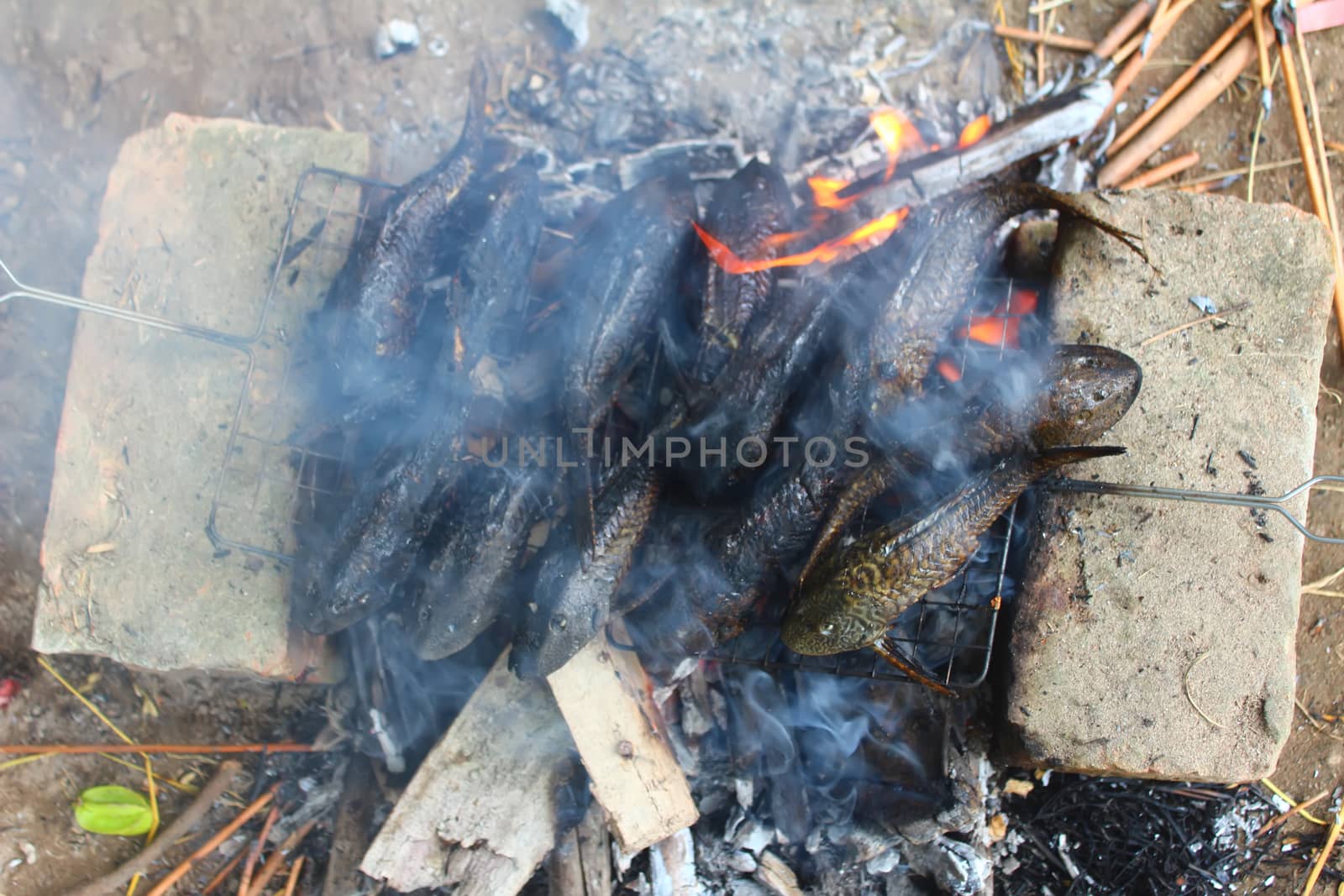 Grilling fish on barbecue by dinhngochung