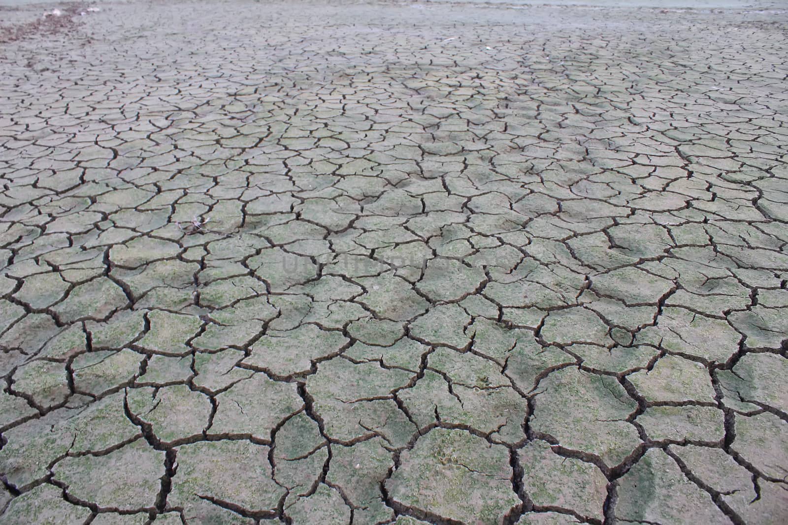 Drought disaster