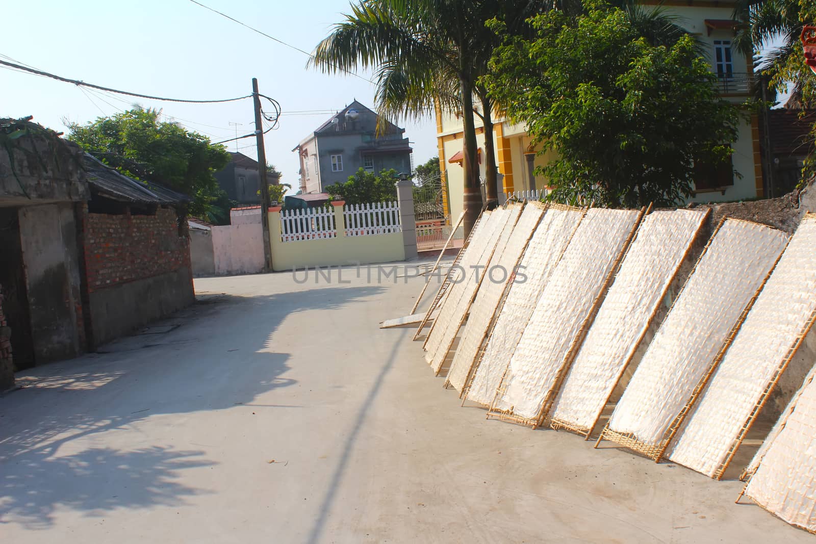 traditionally made rice paper drying in sun, Vietnam