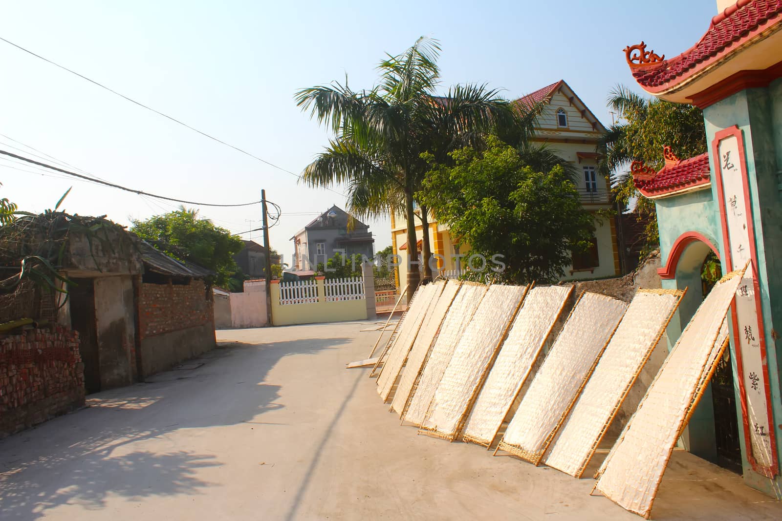 traditionally made rice paper drying in sun, Vietnam