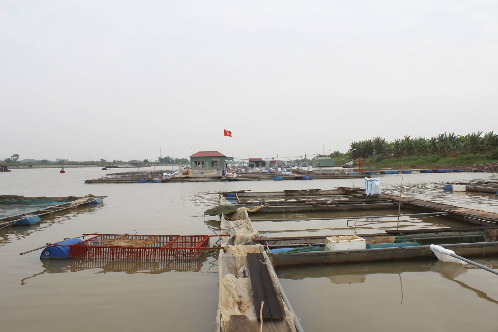 fish farm in river 