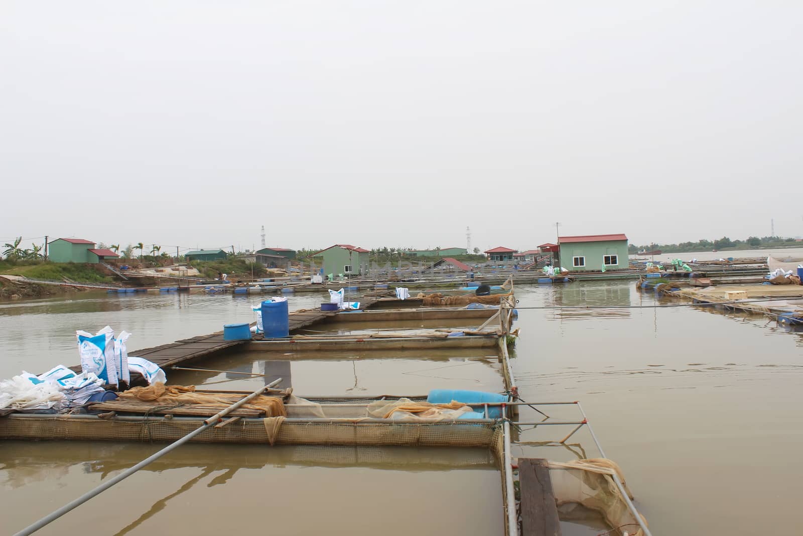 farm in river 