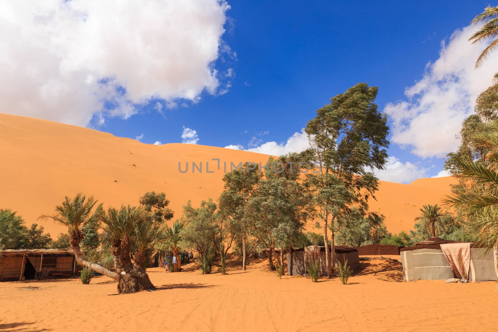 oasis in the Sahara desert on the background sand dunes, Morocco