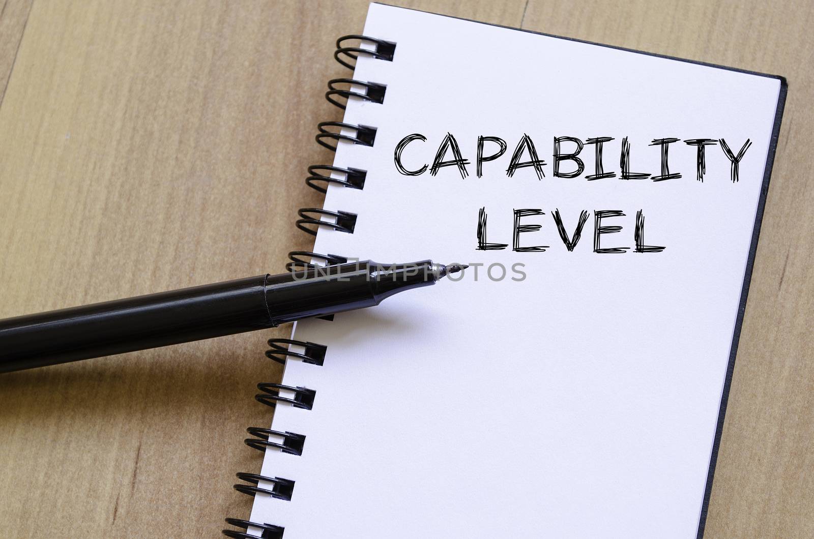 Capability level text concept write on notebook with pen