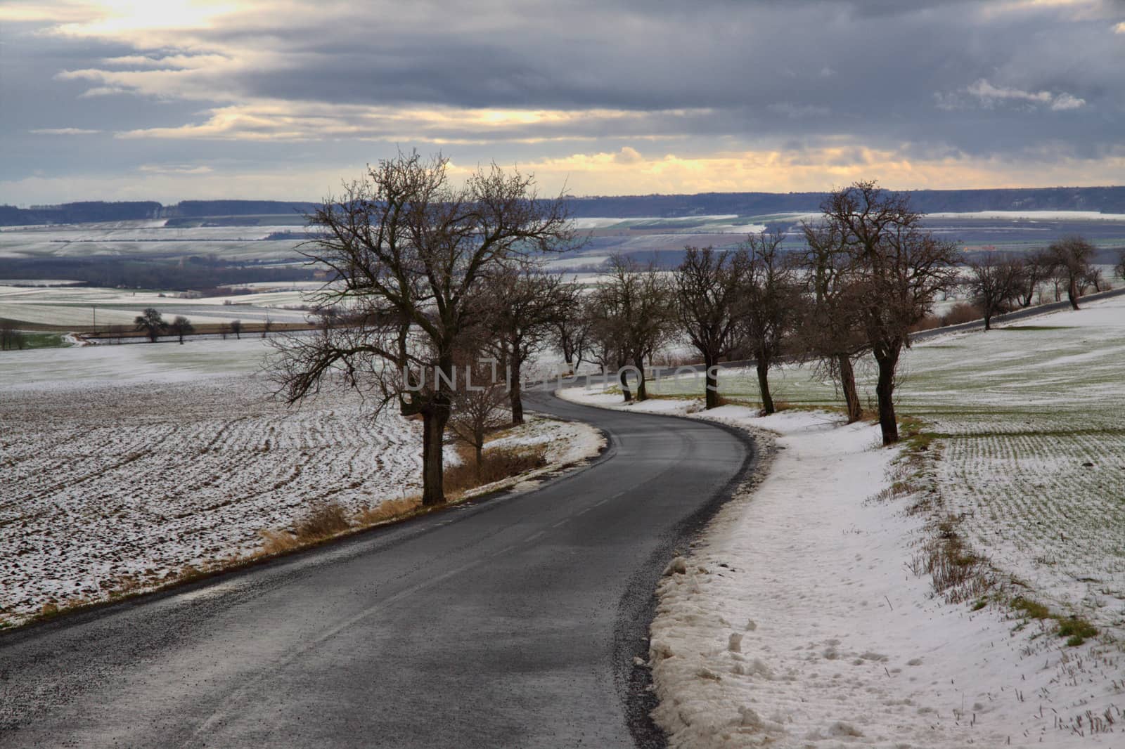 Czech Middle Mountains near Louny town and side road with the tree