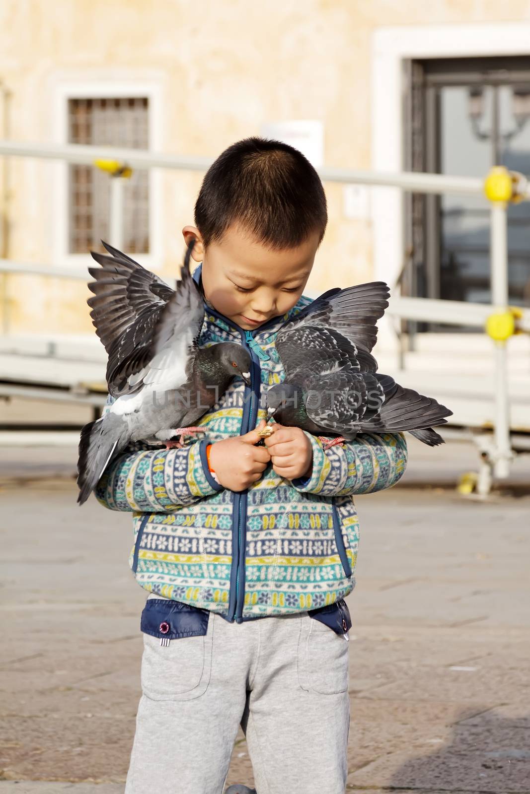 VENICE, ITALY - NOVEMBER 29, 2015: Feeding pigeons on hands of a boy on the streets of Venice, Italy