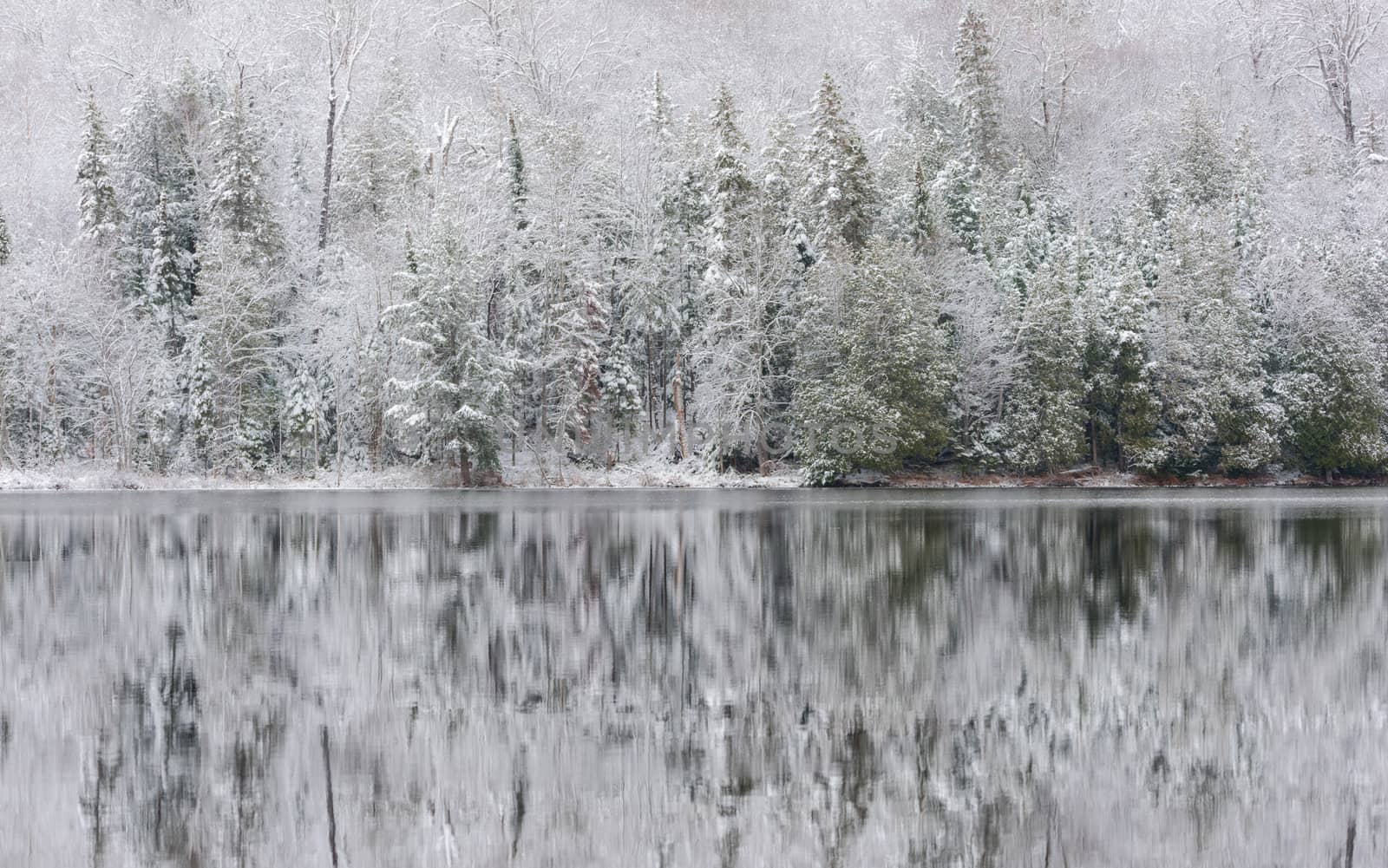 Winter forest reflections.  Mirage on a yet unfrozen lake. 
Still waters reflect winter forests.  Light snow under subdued overcast November sky.  Reflections of waterfront forest mirrored on the lake.