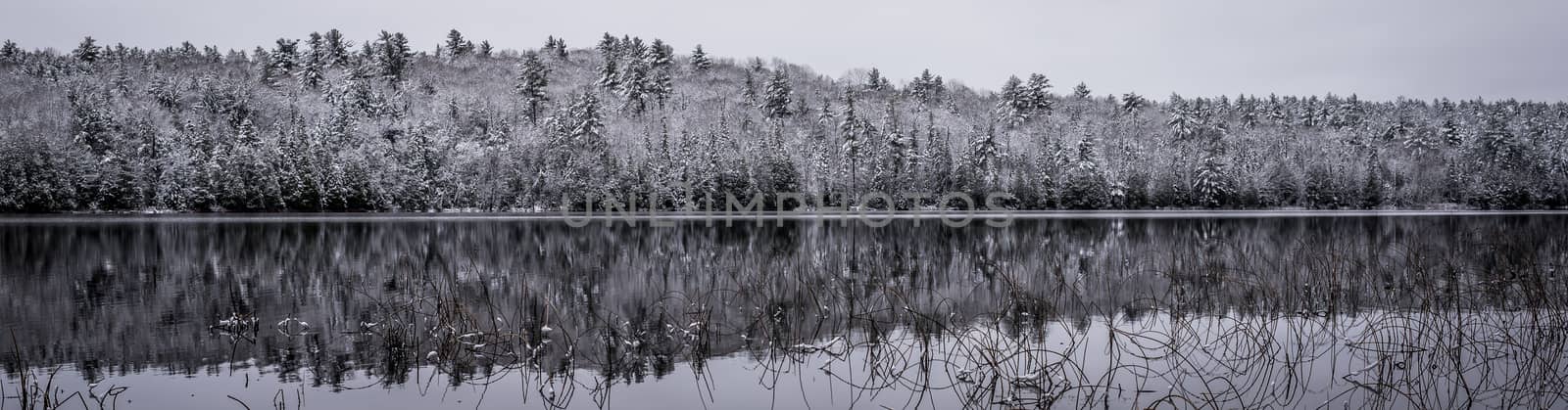 Panoramic view, winter forest reflections.  Mirage on a yet unfrozen lake. by valleyboi63