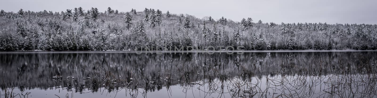 Panoramic winter forest reflections.  Mirage on a yet unfrozen lake. 
Still waters reflect winter forests.  Light snow under subdued overcast November sky.  Reflections of waterfront forest mirrored on the lake.