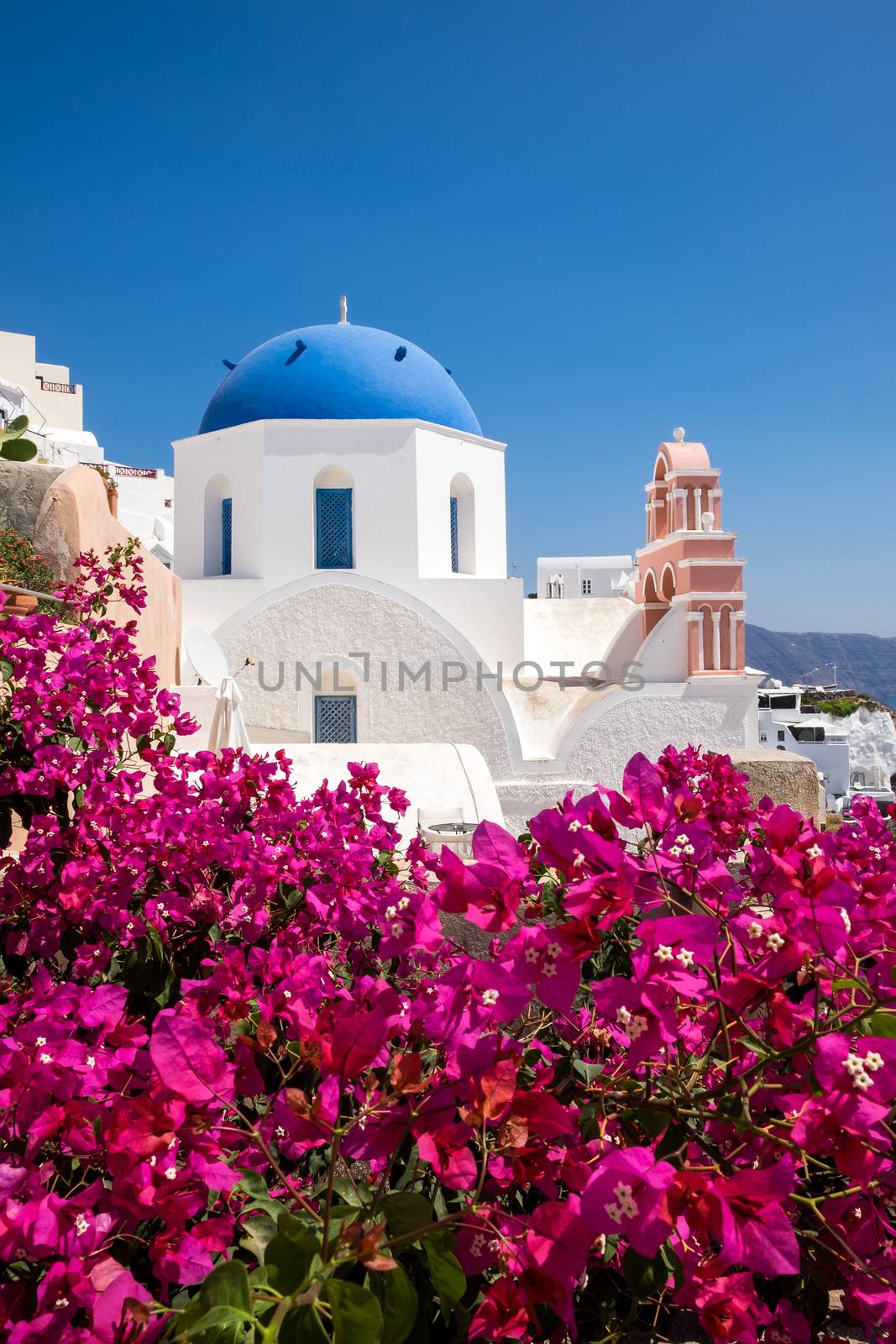 Scenic view of traditional cycladic houses with flowers in foreg by martinm303