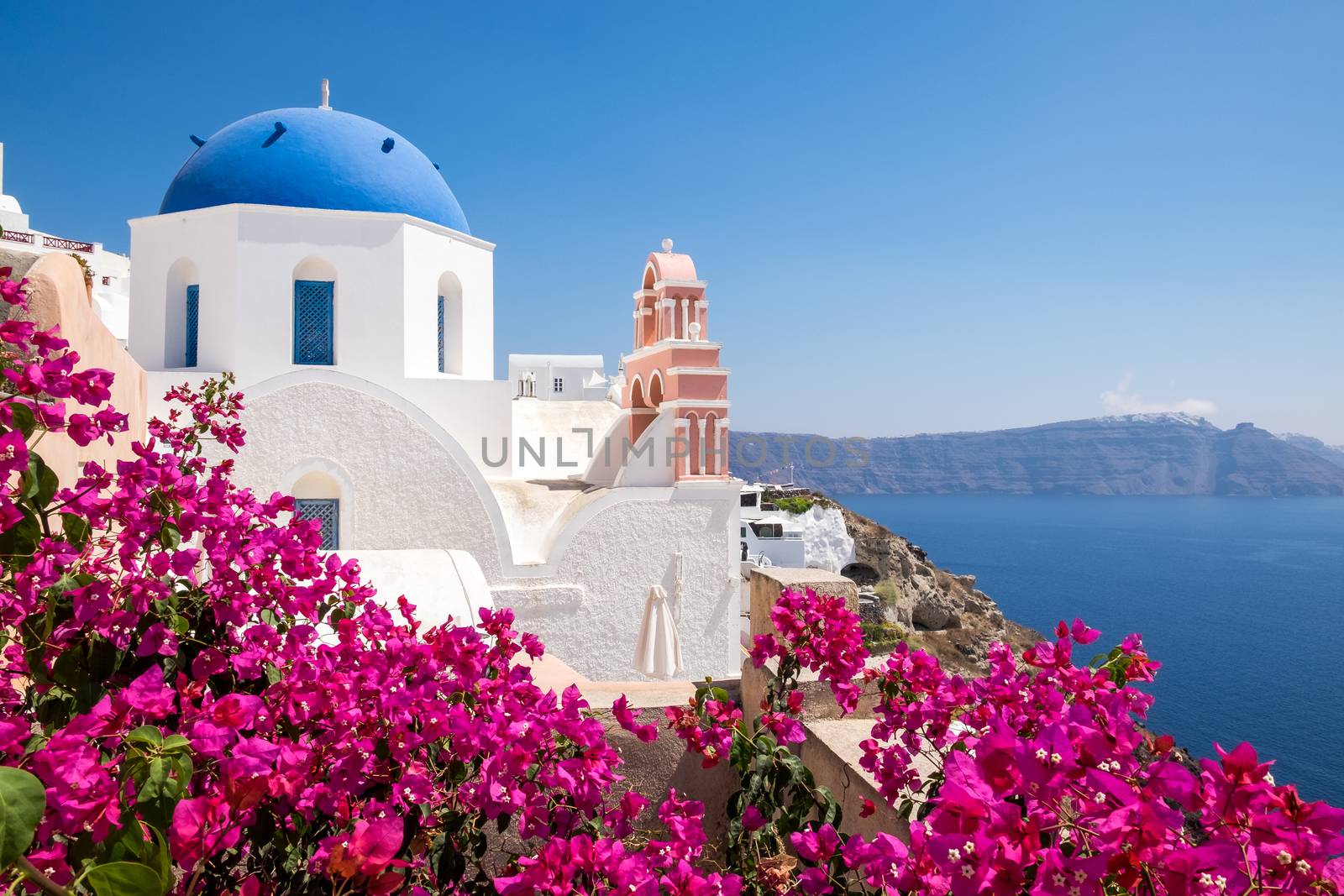 Scenic view of traditional cycladic houses with flowers in foreg by martinm303