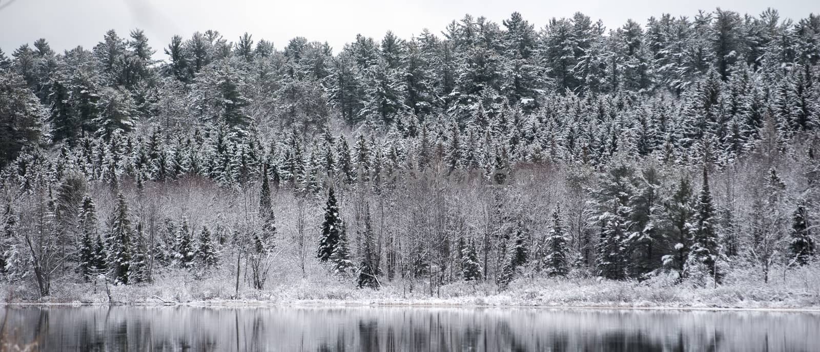 Winter forest reflections.  Mirage on a yet unfrozen lake. by valleyboi63