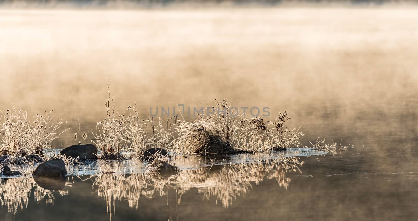 Sunlight glowing on frost coated rocks and grass at water's edge.  chilled by overnight November air. by valleyboi63