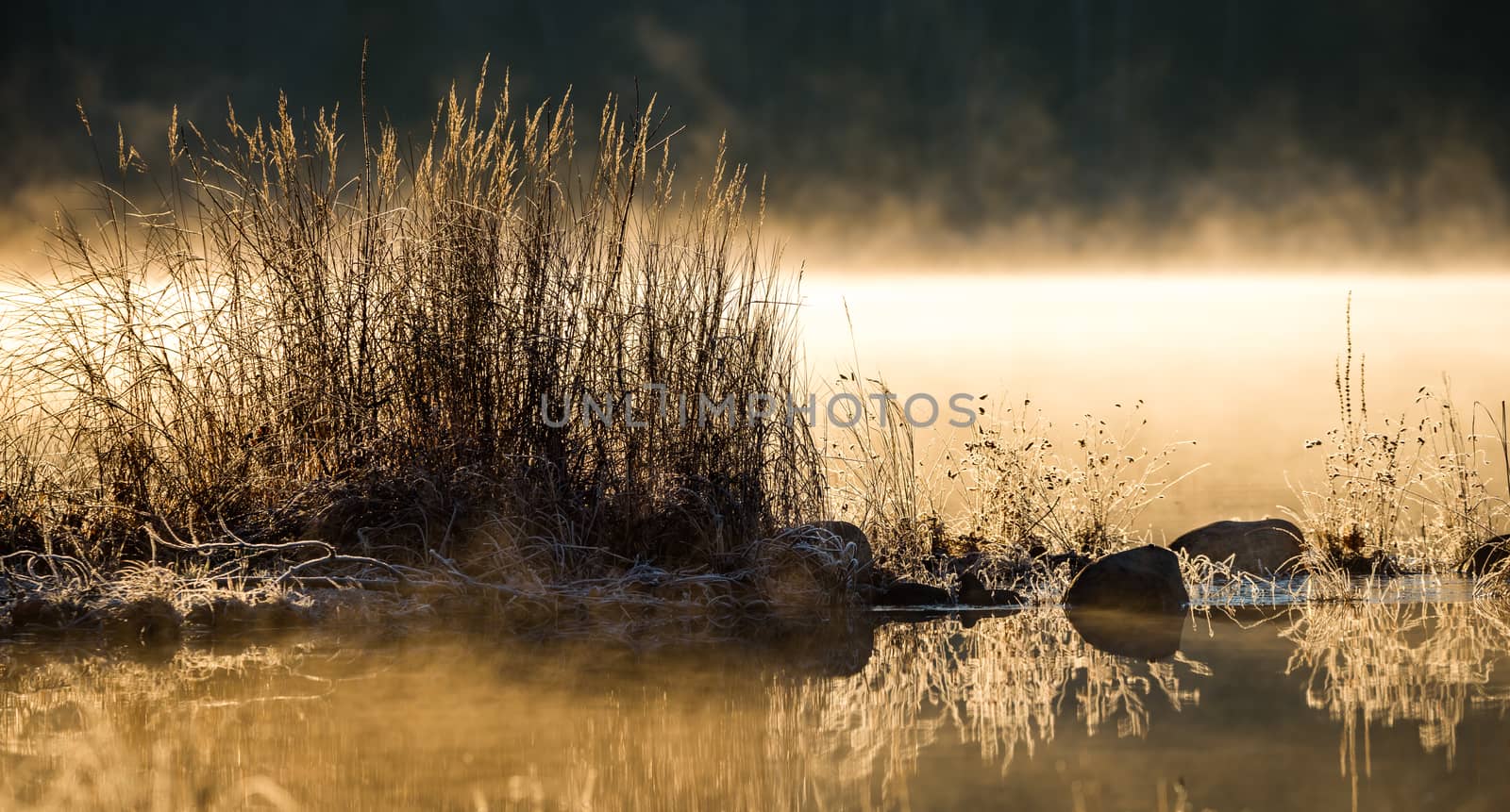 Sunlight glowing on frost coated rocks and grass at water's edge.  chilled by overnight November air. by valleyboi63