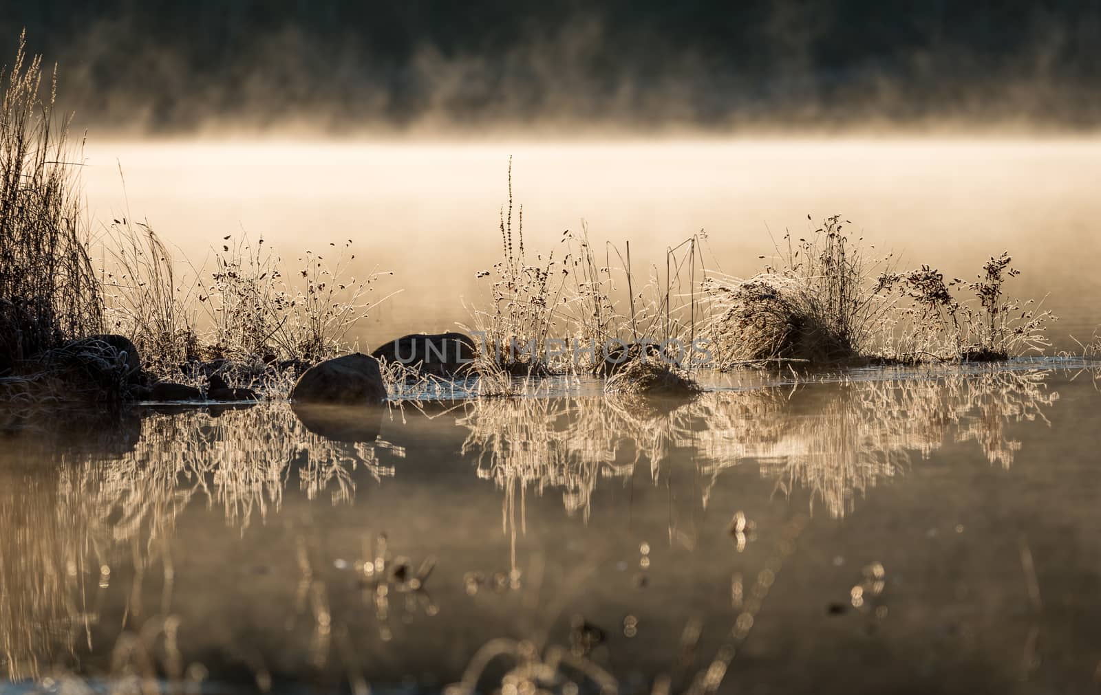 Sunlight glowing on frost coated rocks and grass at water's edge.  chilled by overnight November air. by valleyboi63