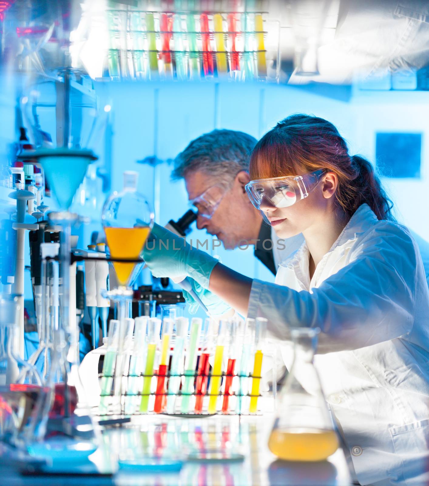 Attractive young female scientist and her senior male supervisor looking at the cell colony grown in the petri dish in the life science research laboratory