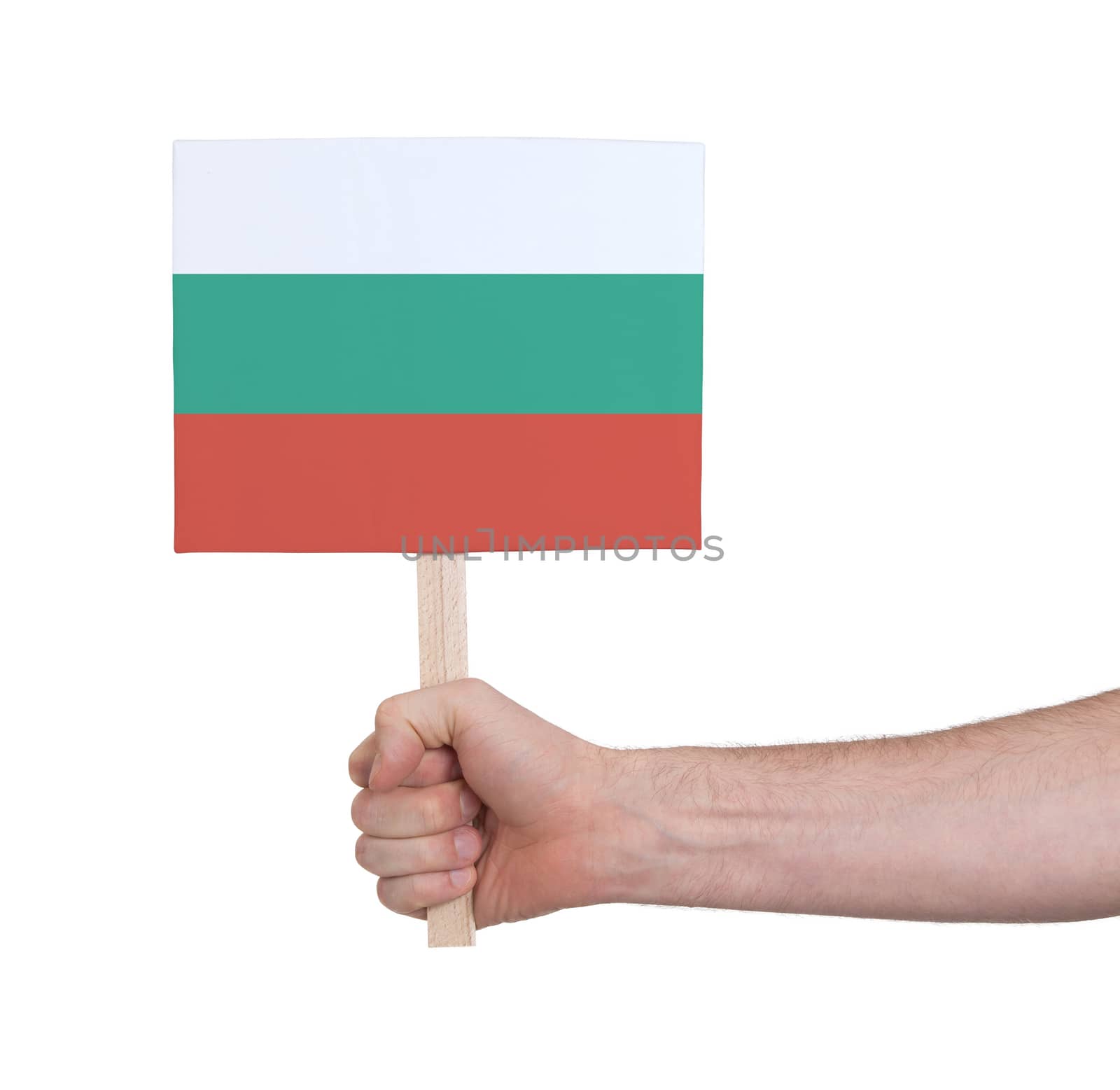 Hand holding small card - Flag of Bulgaria by michaklootwijk