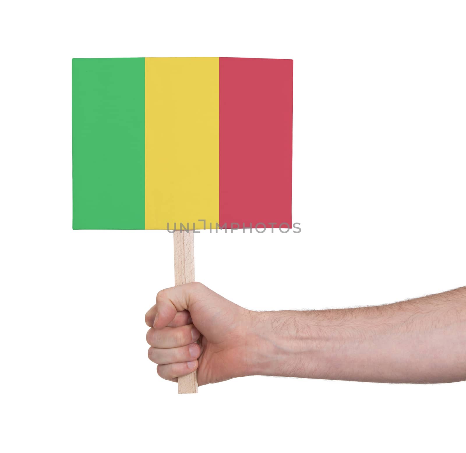 Hand holding small card - Flag of Mali by michaklootwijk