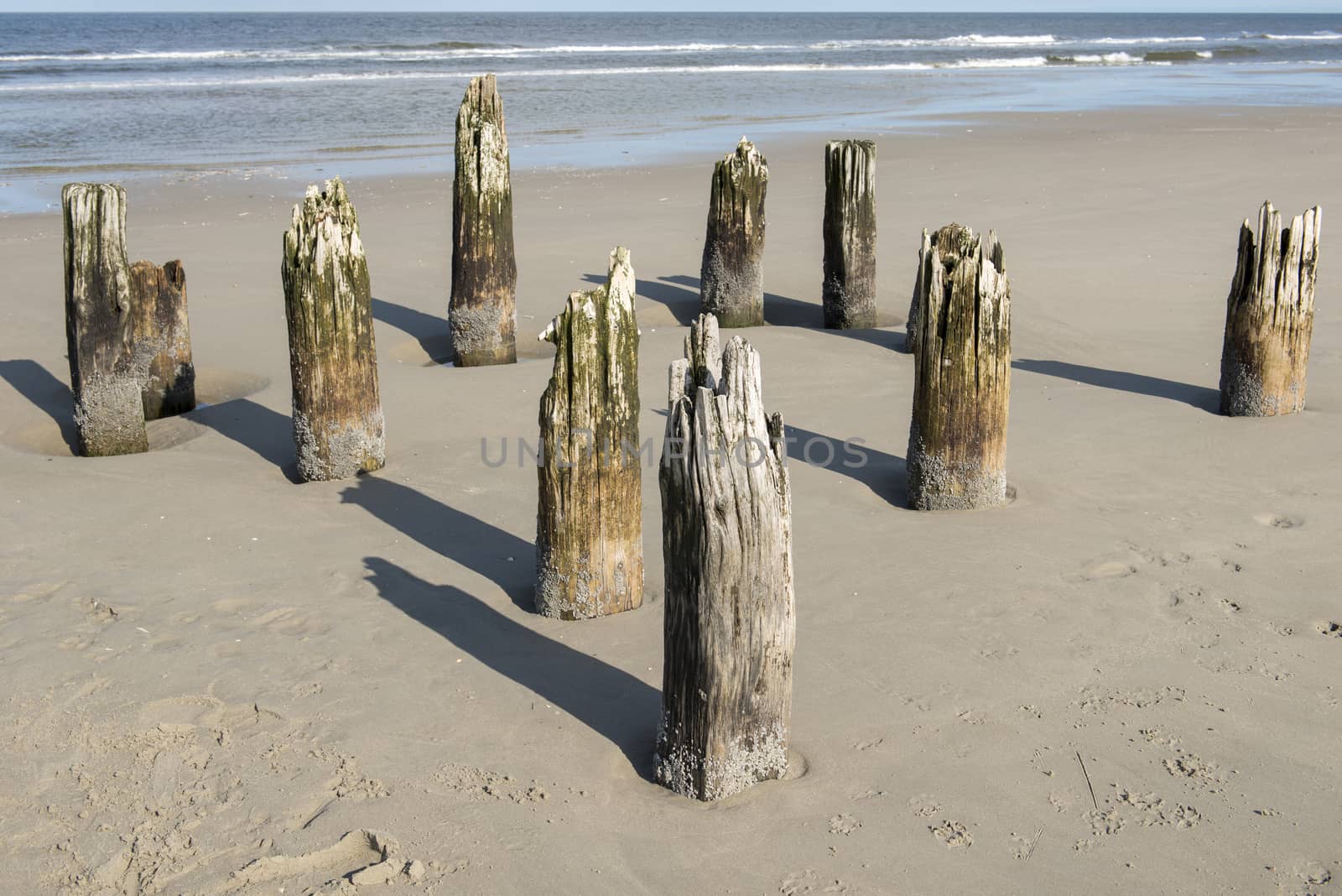 Foundation of an old cottage called "drowning cottage" on the island of Terschelling in the Netherlands
