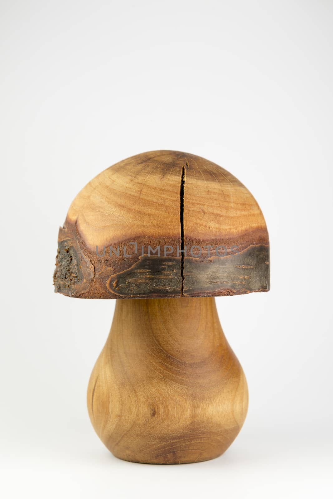 Wooden mushroom by Tofotografie