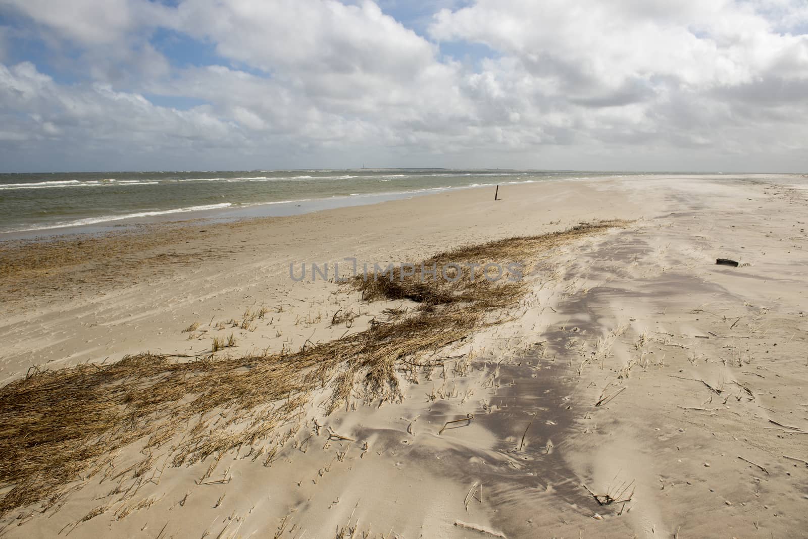 Eastern beach of Terschelling with a view on the lighthouse of the island Ameland
