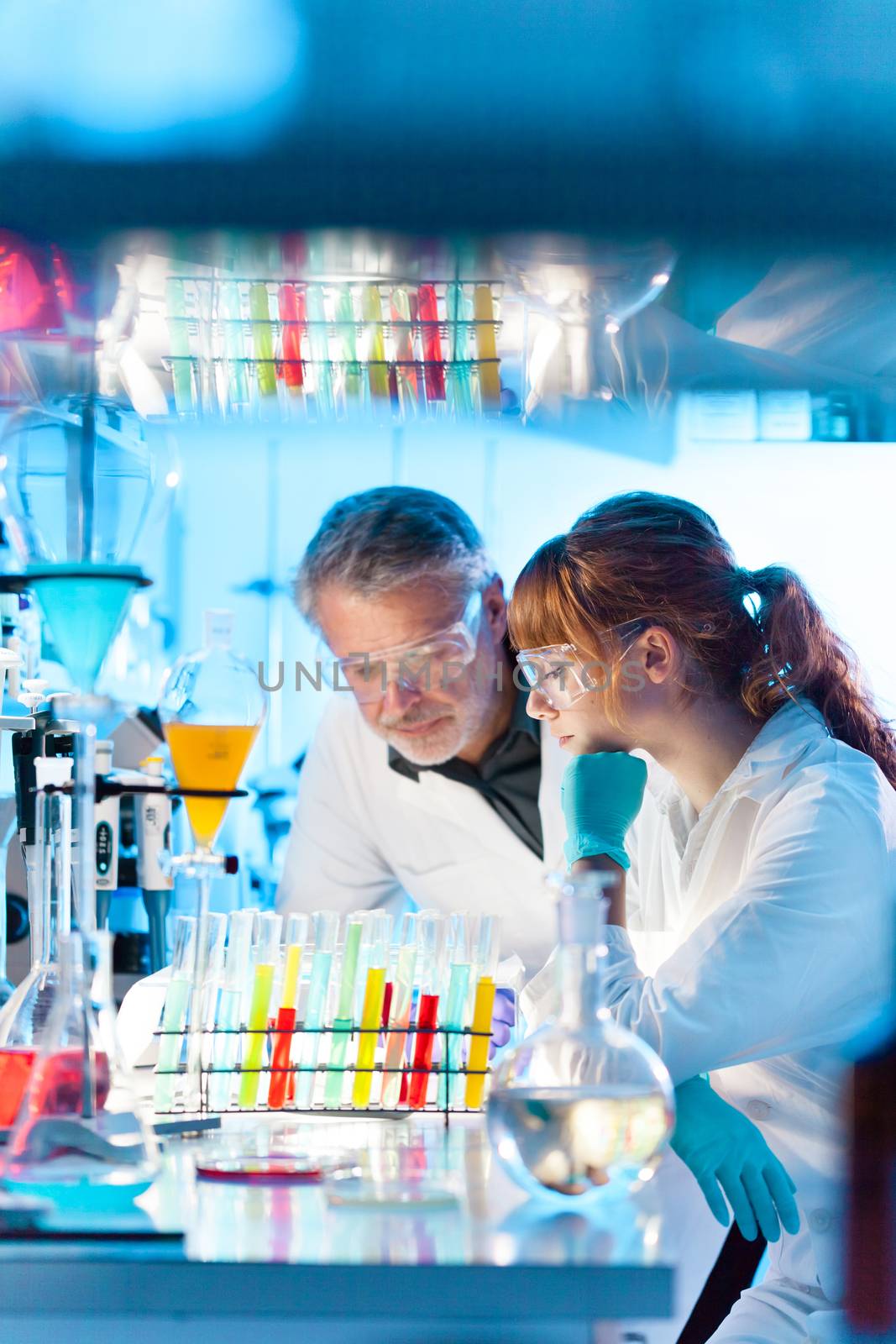 Attractive young female scientist and her senior male supervisor looking at the cell colony grown in the petri dish in the life science research laboratory