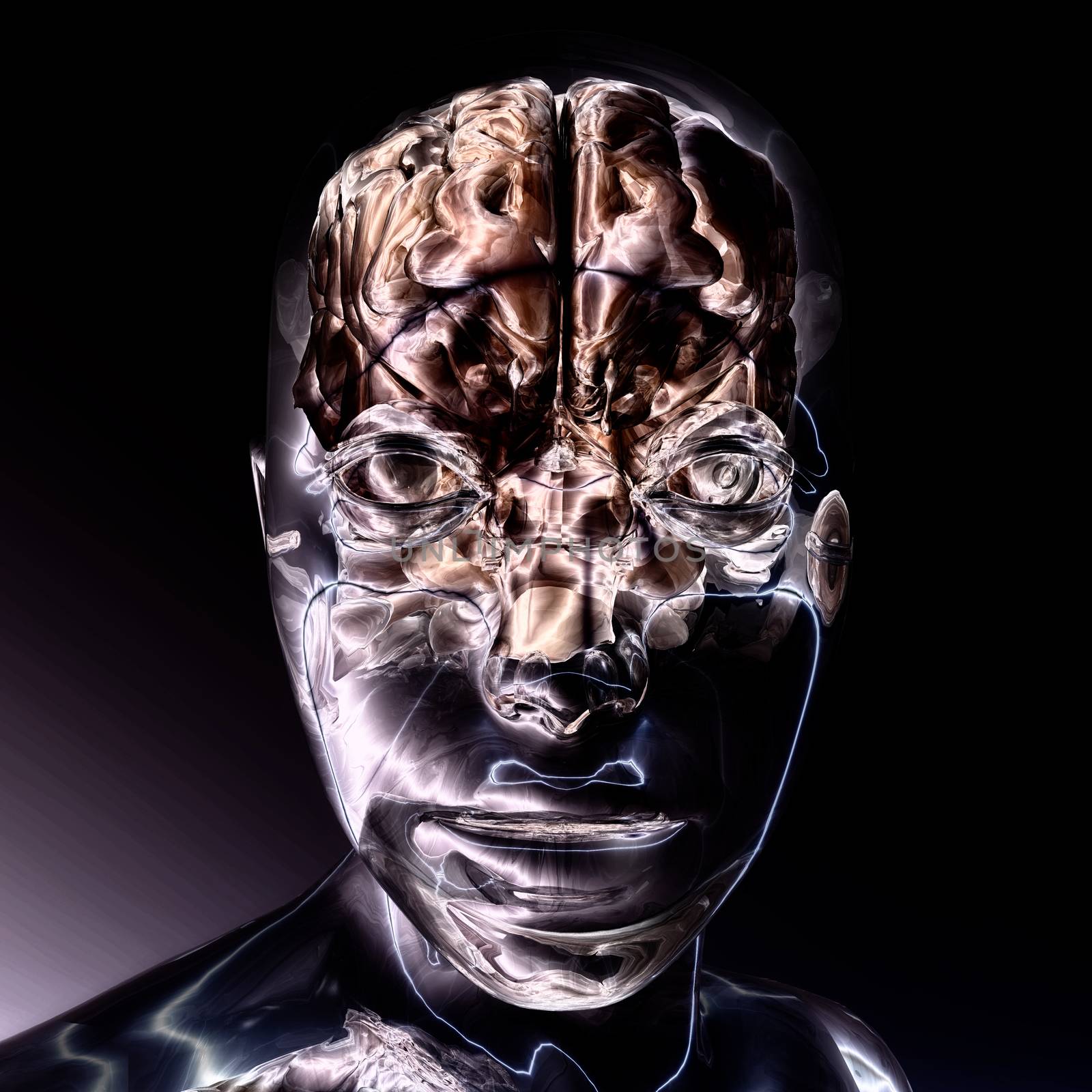 Digital Visualization of a Human Brain