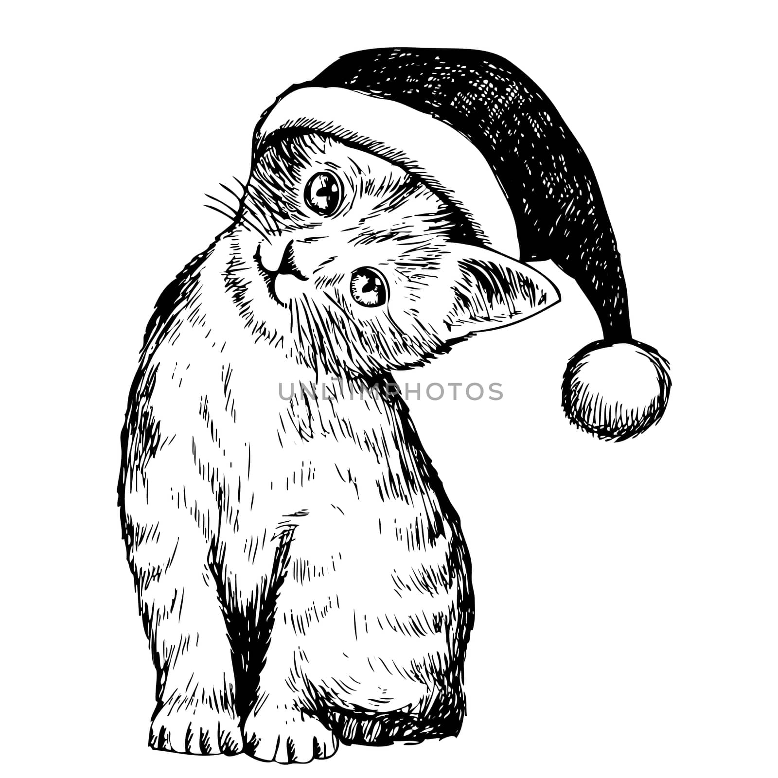 freehand sketch illustration of kitten cat with christmas hat, doodle hand drawn, christmas pet