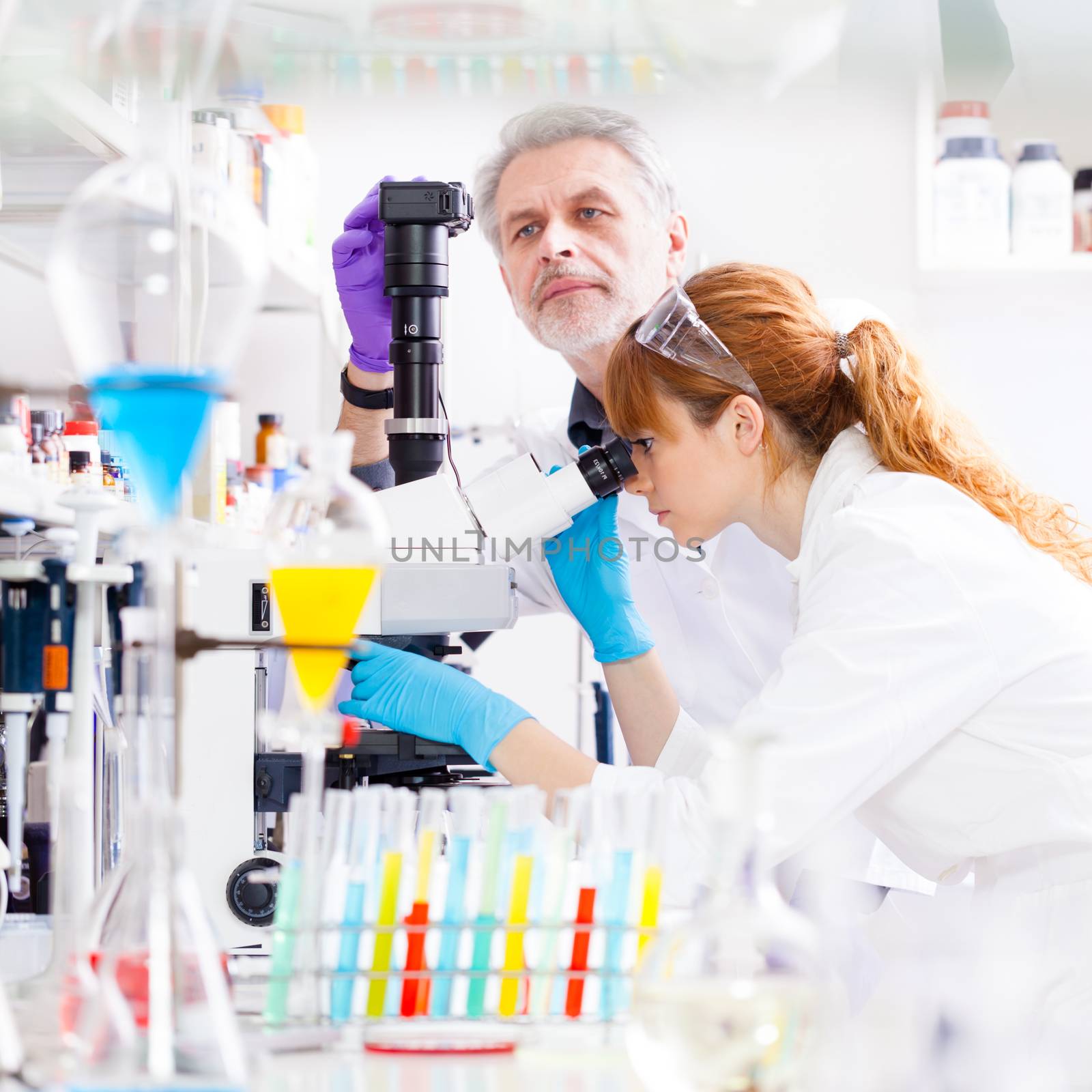 Attractive young female scientist and her senior male supervisor looking at the microscope slide in the life science research laboratory. Bichemistry, genetics, forensics, microbiology...