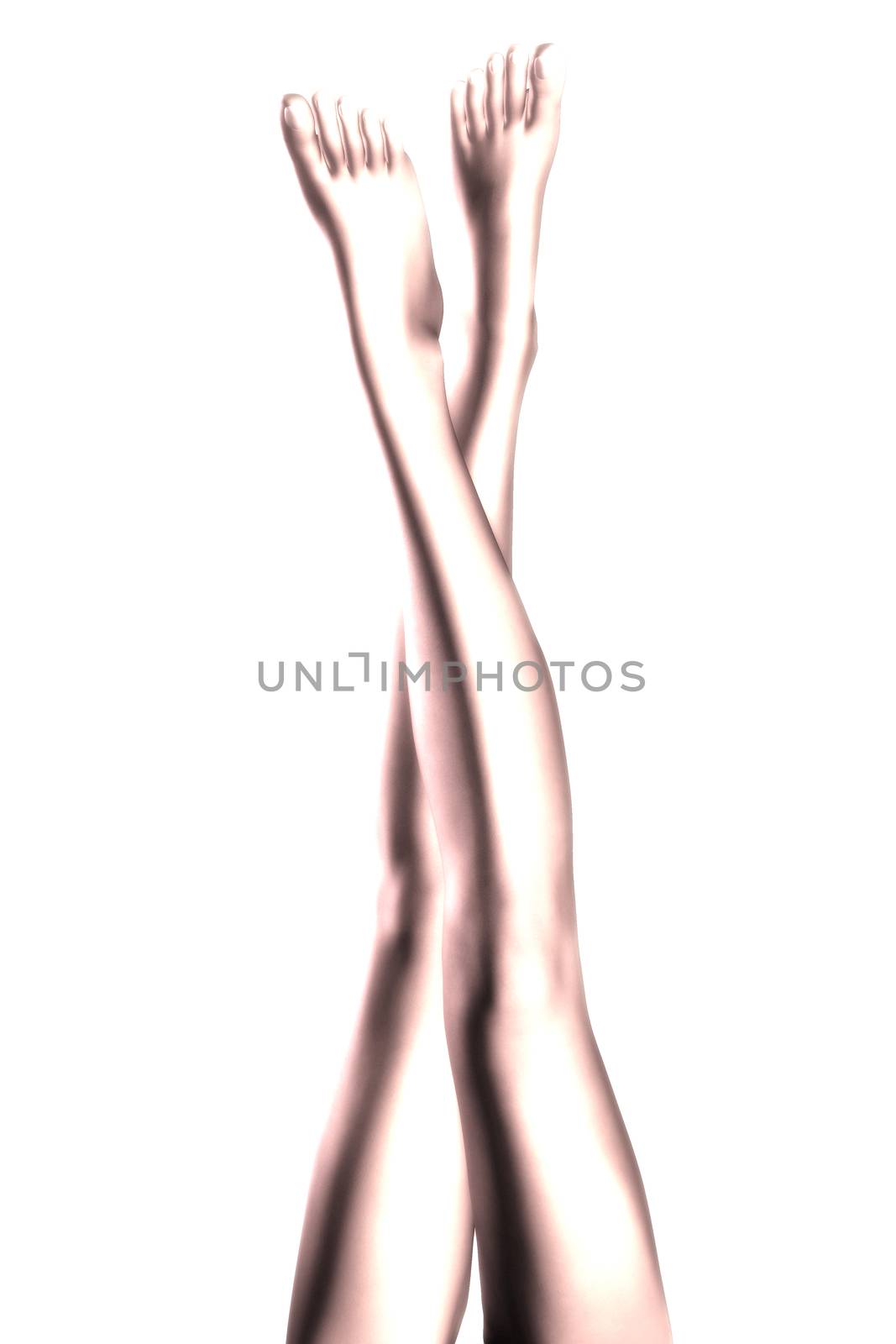 Digital Illustration of female Legs