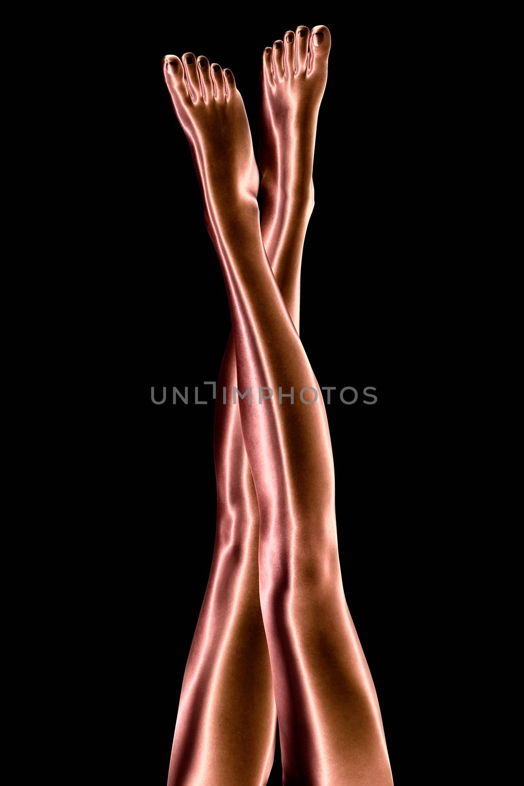 Digital Illustration of female Legs