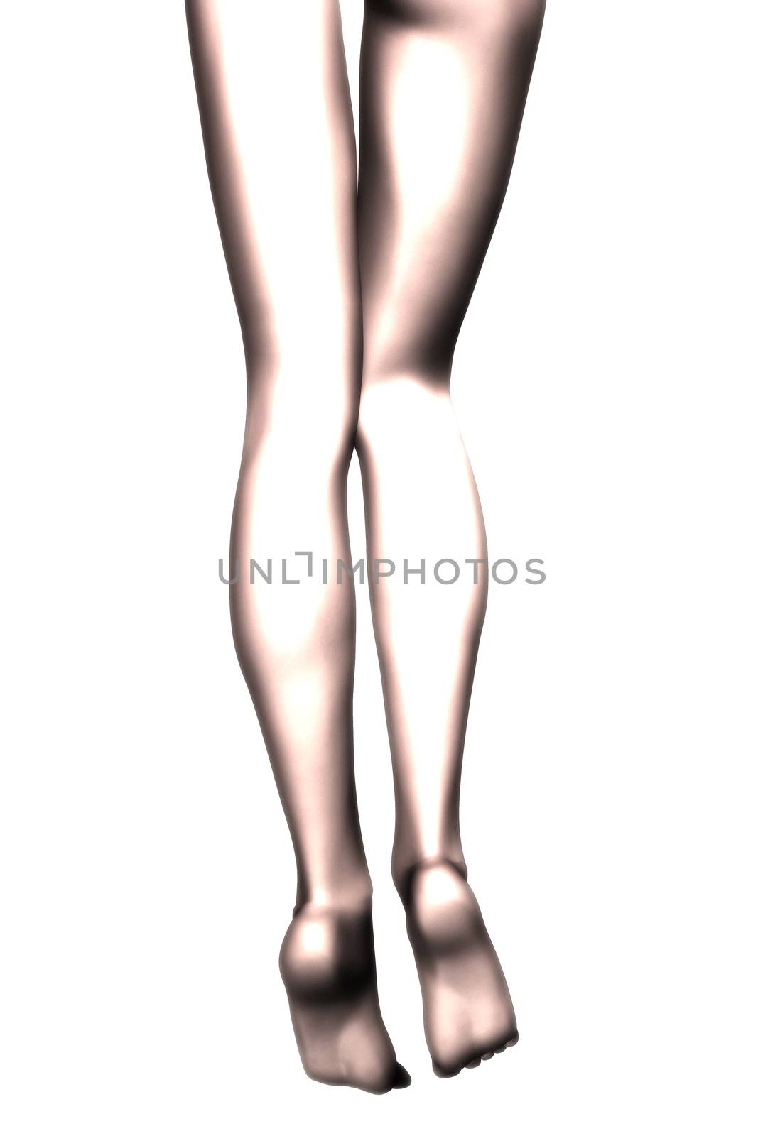 Digital Illustration of female Legs