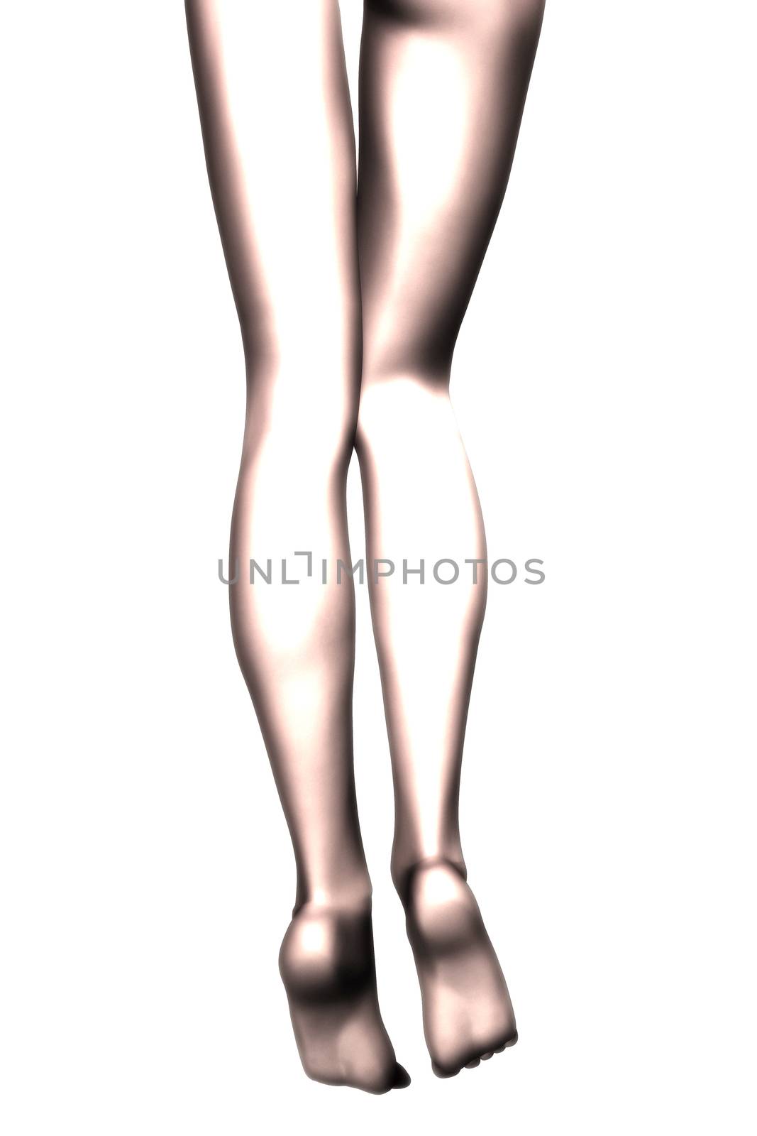 Digital Illustration of female Legs