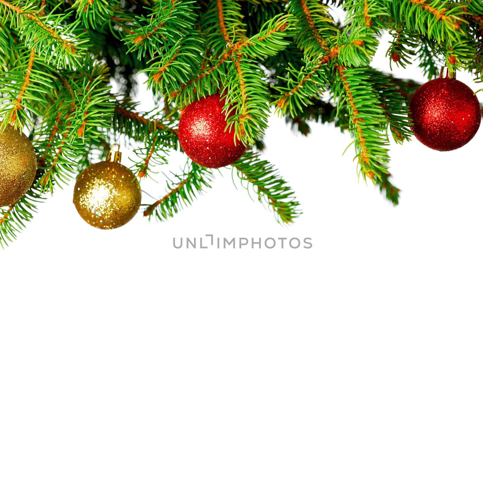 Decorative balls on natural green fir branch isolated on white background