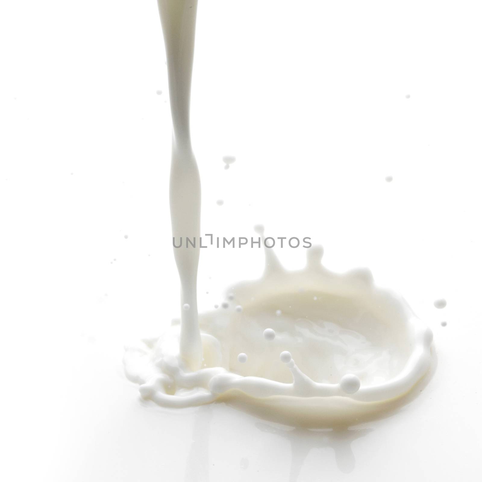 Pouring milk splash isolated on white background macro