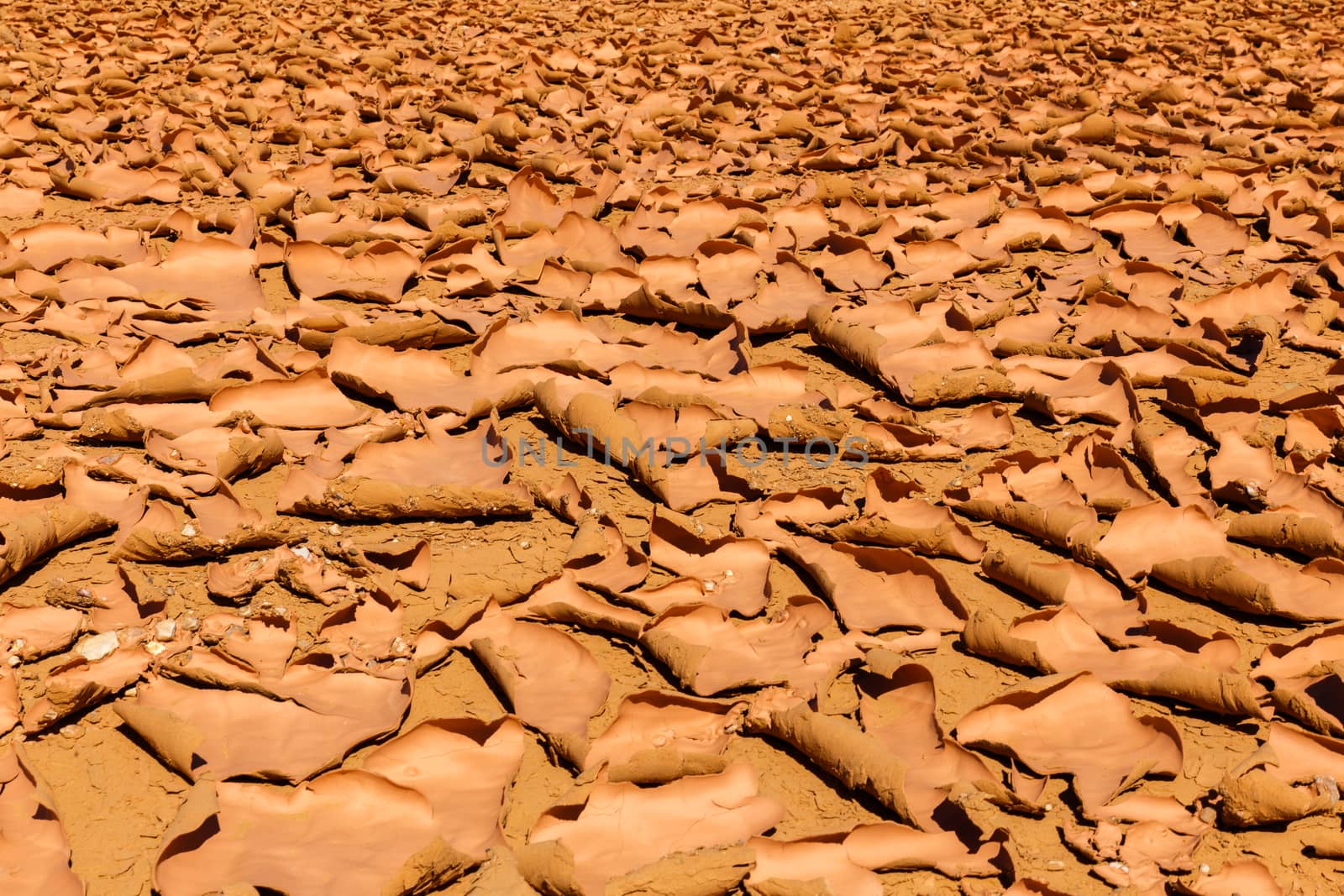 Cracked earth in  Sahara desert by Mieszko9