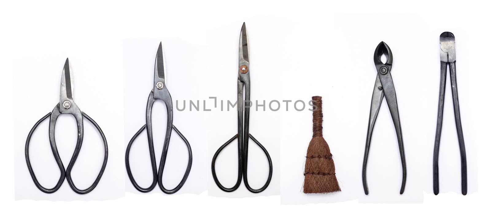 japan bonsai art tool scissors kit