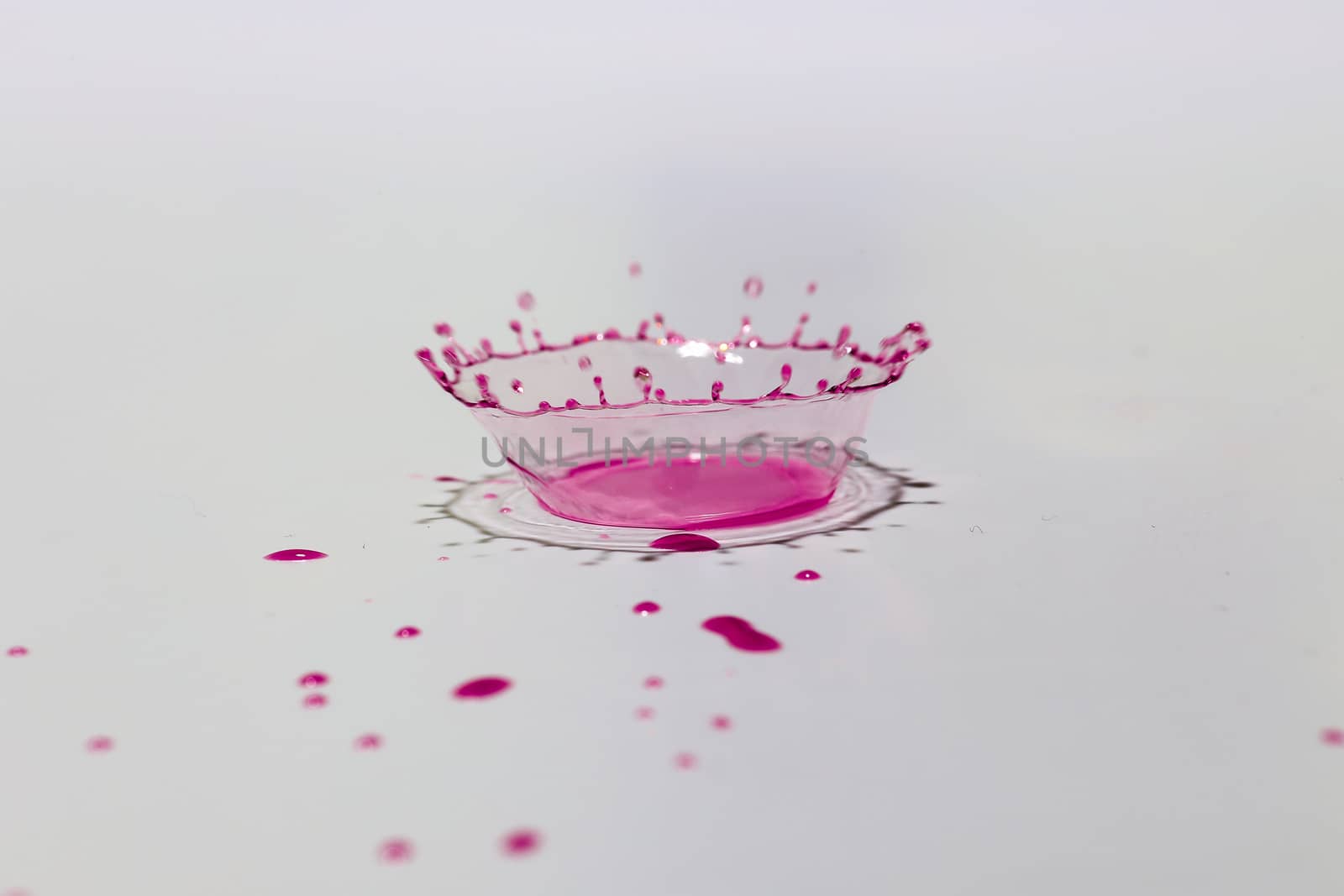 Pink water drop explosion isolated on white background