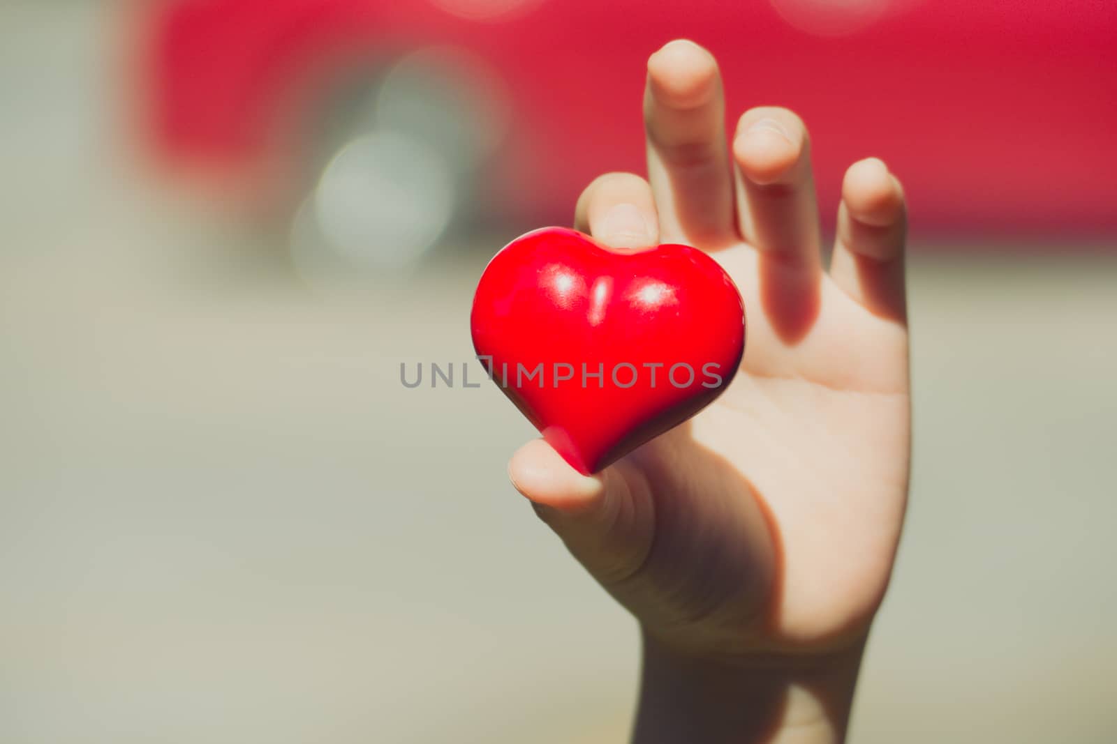 red heart in the hands, on green nature background