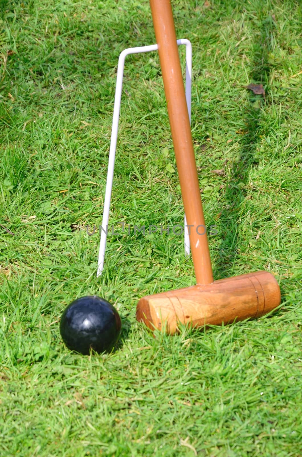 Croquet mallet with black ball by pauws99