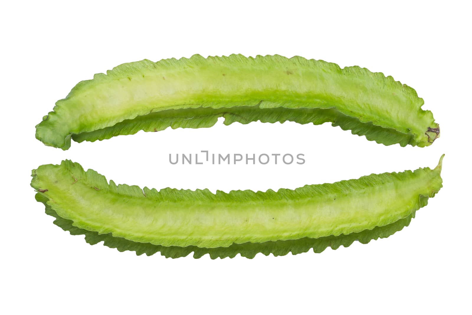 Winged Beans isolated on white by supersaiyan