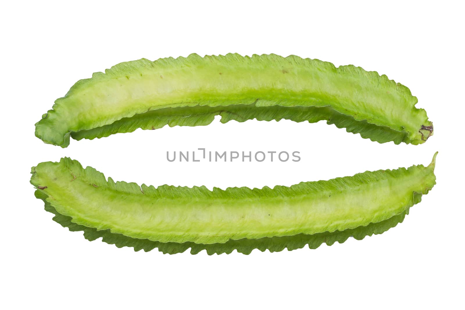 Winged Beans isolated on white background