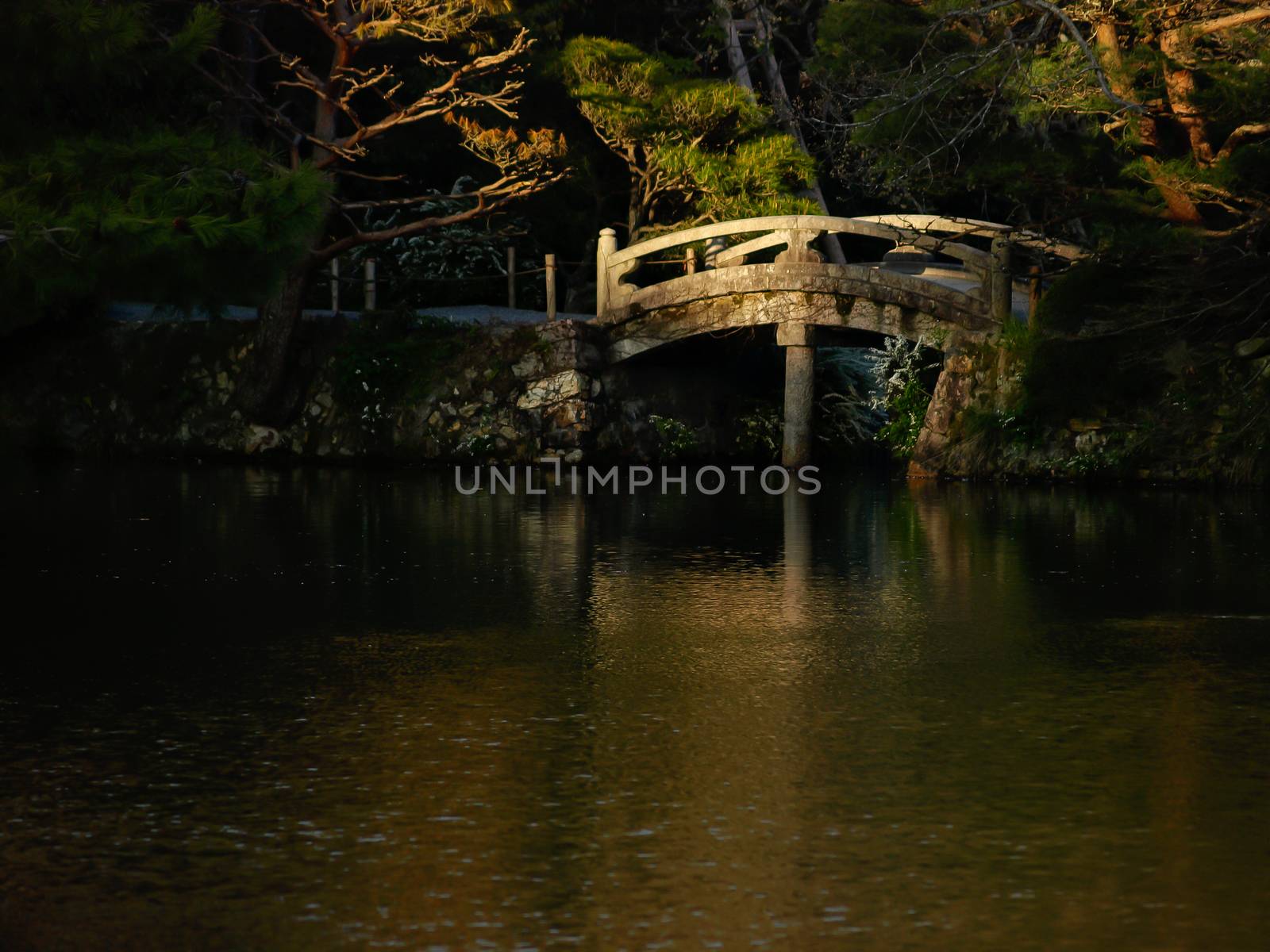 small bridge in the Japanese garden