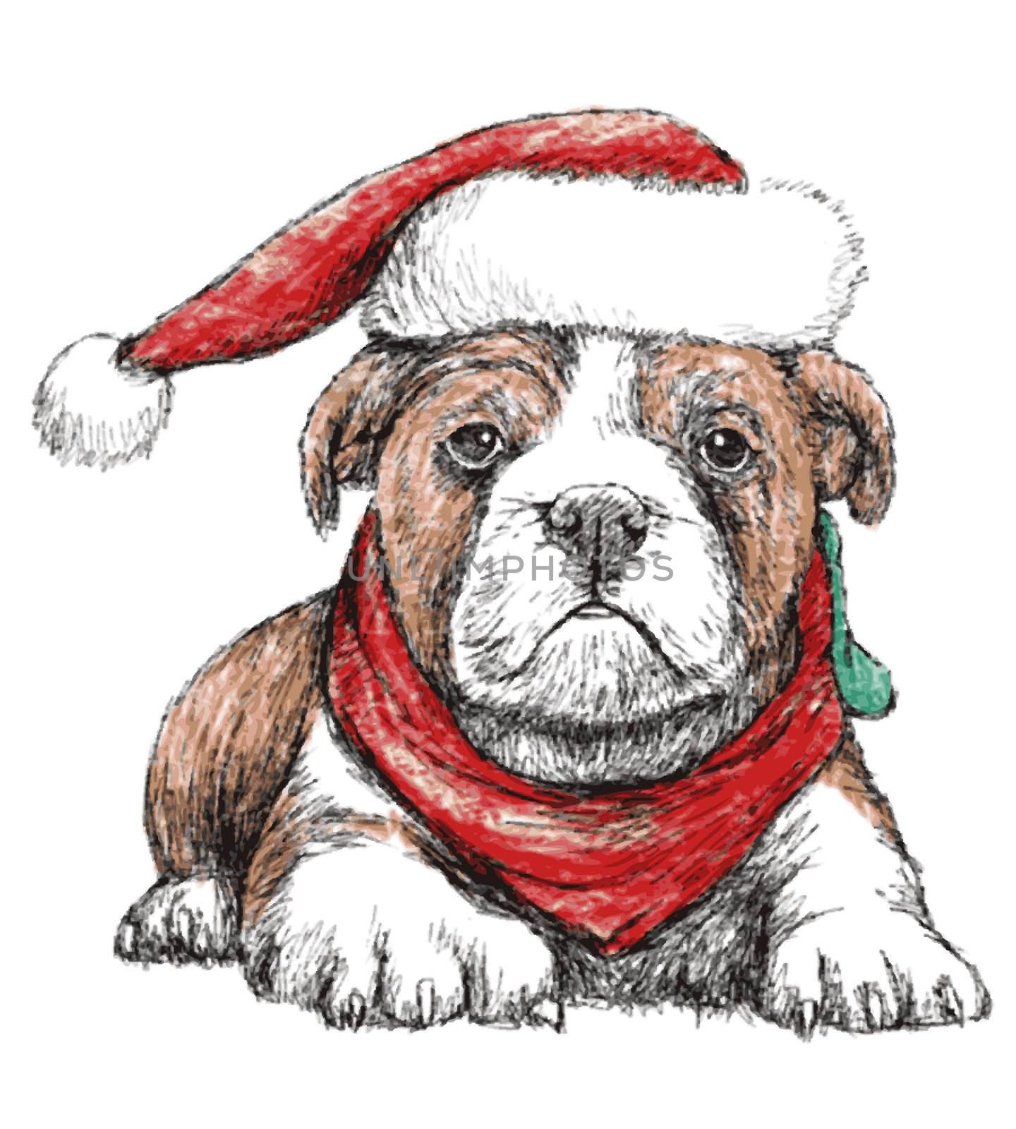 Image of bulldog with red hat, hand draw vector. Use for Chrismas day.
