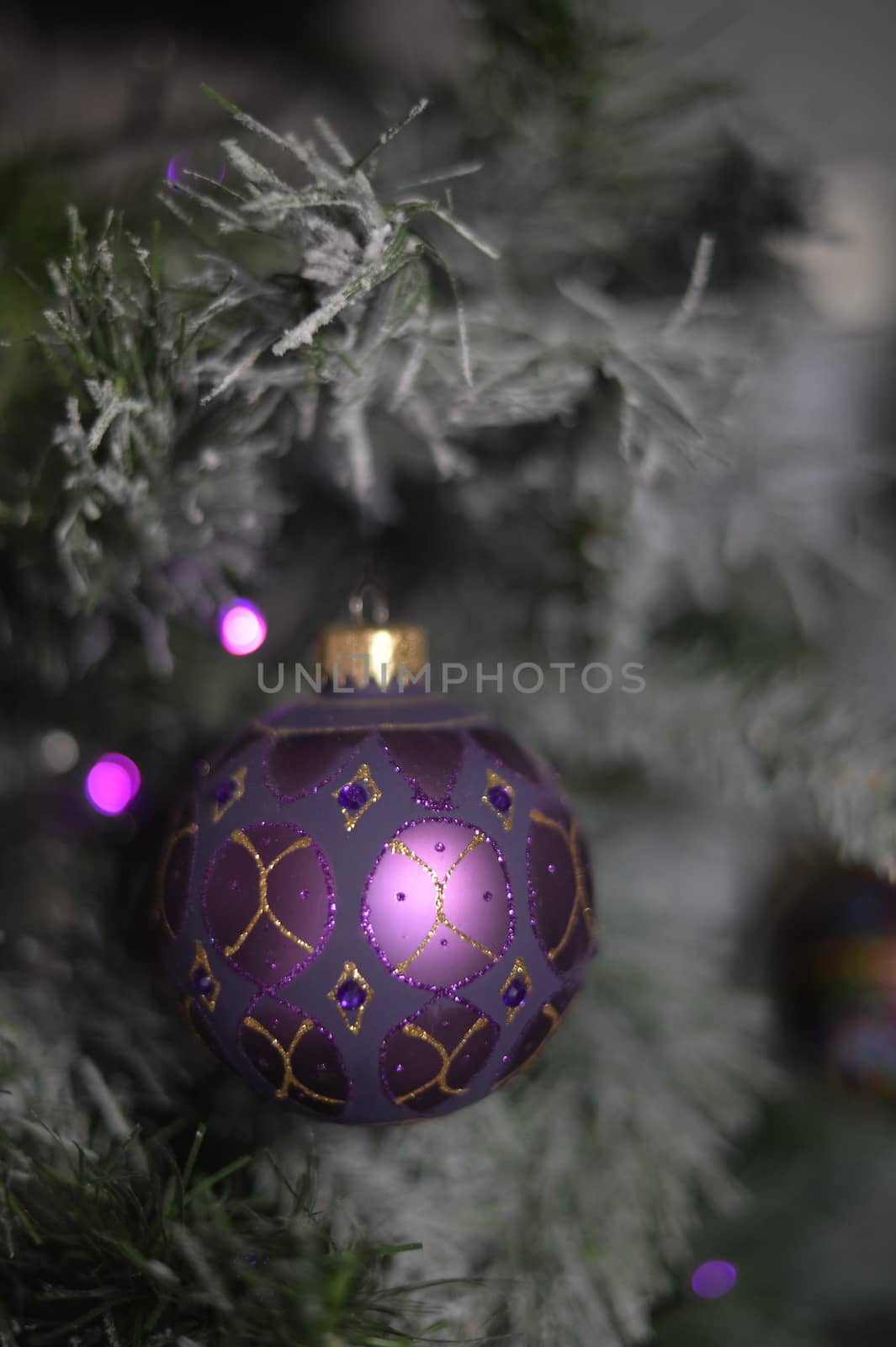 Background with snowy fur tree branch and Christmas balls.