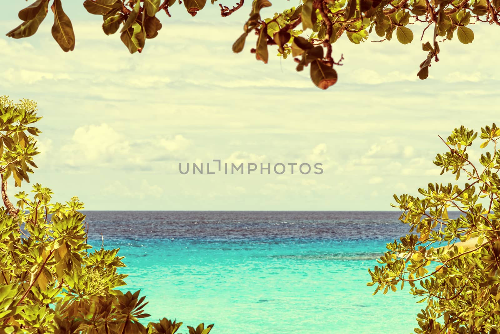 Beautiful natural landscape blue sky and sea have leaves and tree is a frame vintage style for background at Koh Miang Island during summer in Mu Ko Similan National Park, Phang Nga, Thailand
