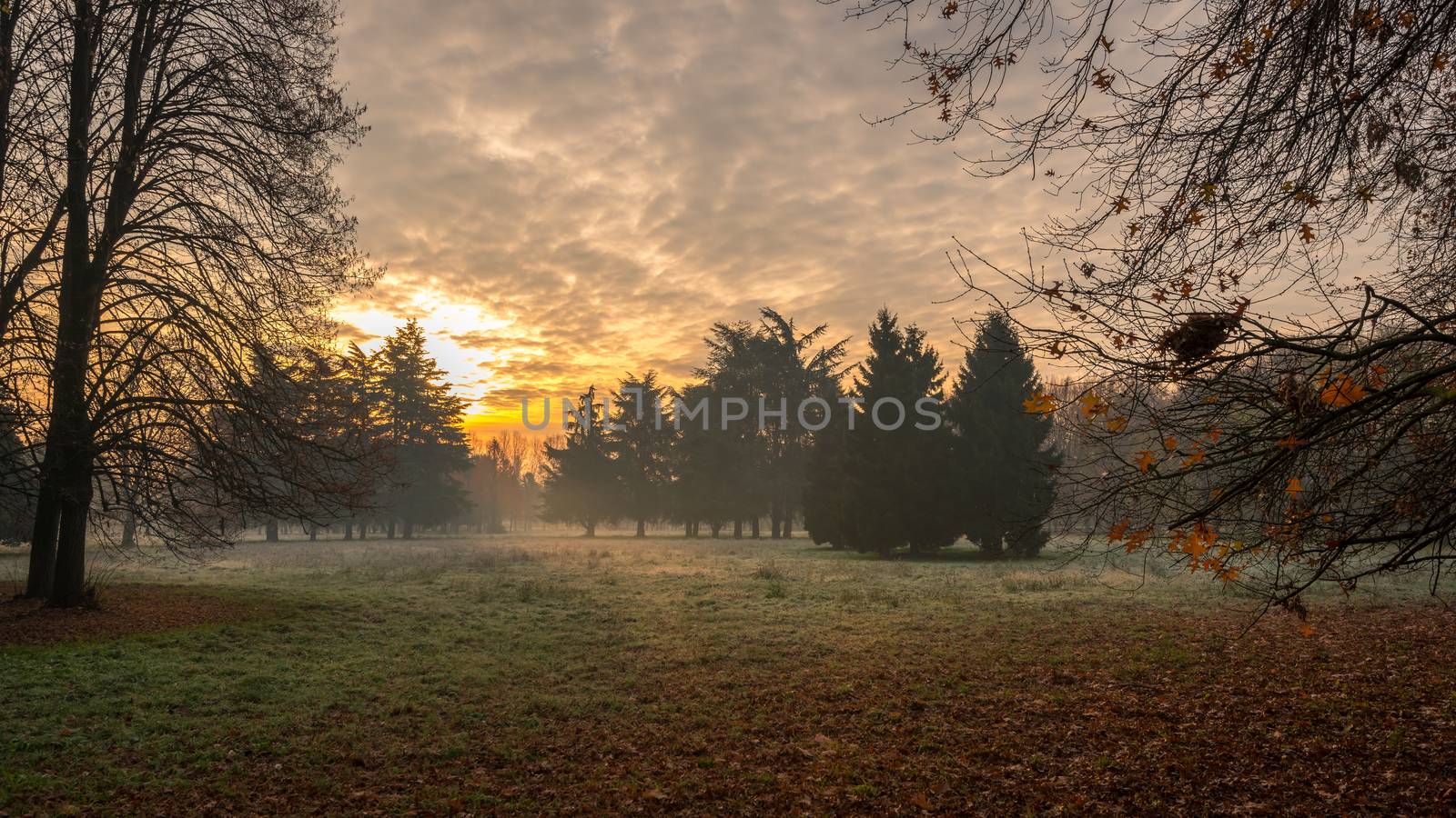 Autumnal cold morning on meadow with hoarfrost on plants and beautiful colors at sunrise,Italy near Milan.