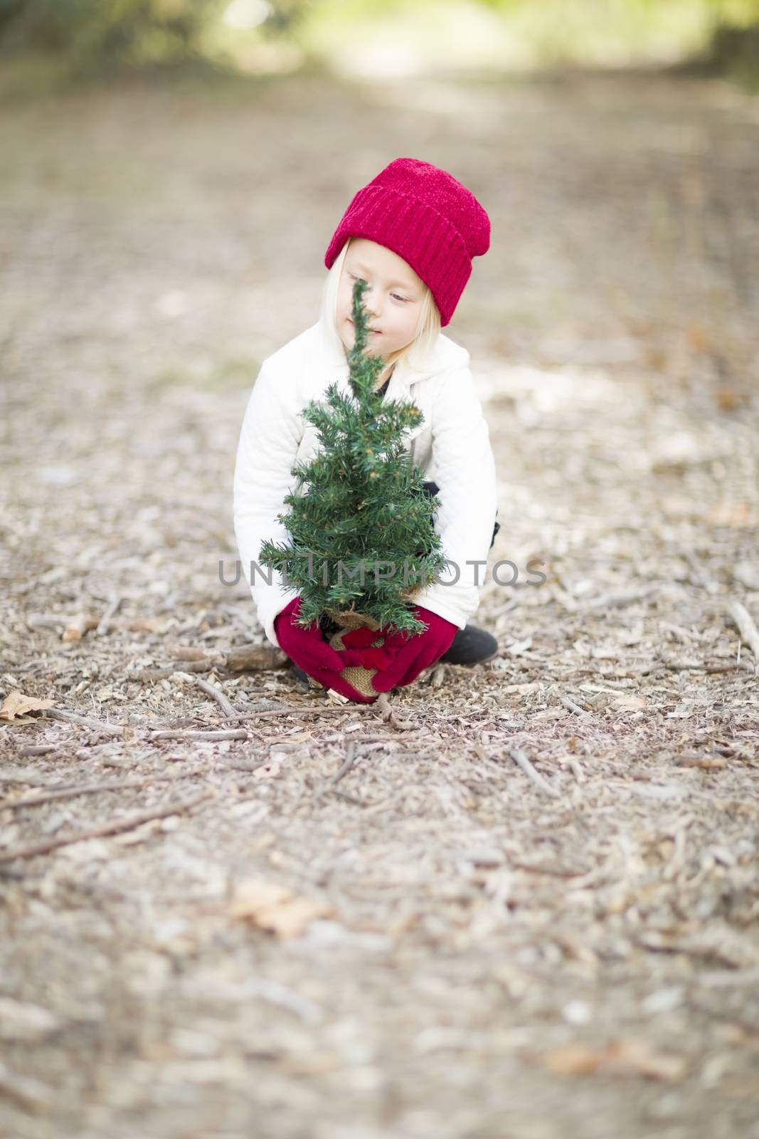 Baby Girl In Red Mittens and Cap Near Small Christmas Tree Outdoors.