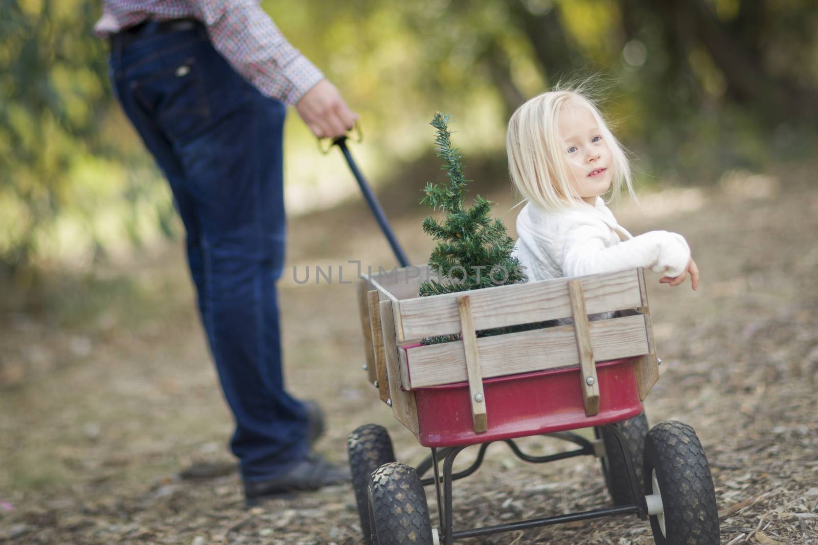 Father Pulls Baby Girl in Wagon with Christmas Tree by Feverpitched