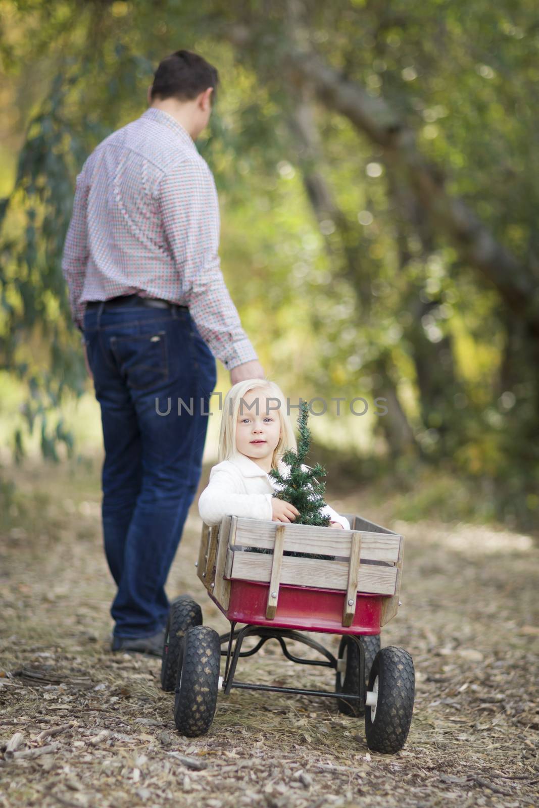 Loving Father Pulls Baby Girl in Wagon with Christmas Tree Outdoors.